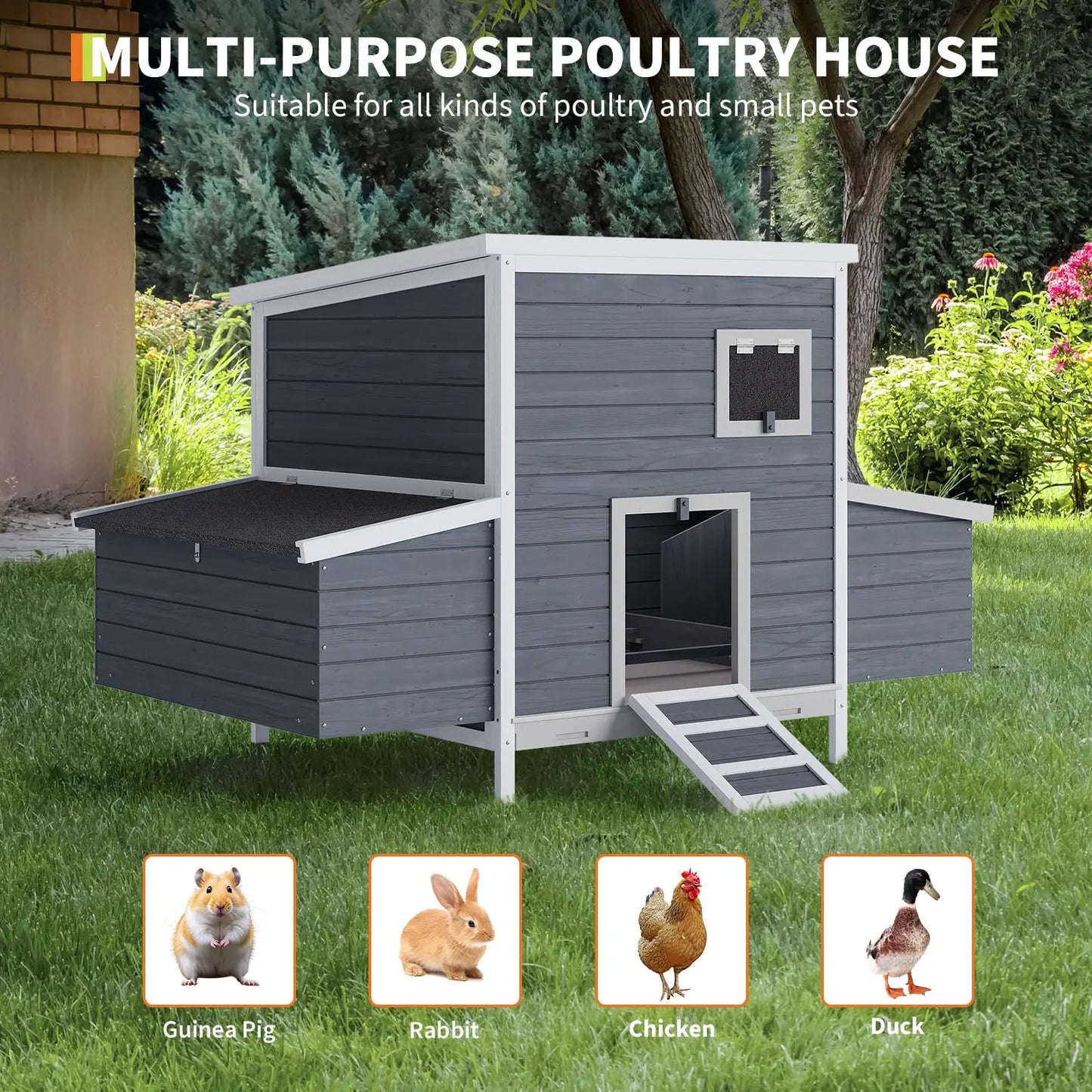 DishyKooker Backyard Chicken Coop For 4-6 Hens With Nesting Box