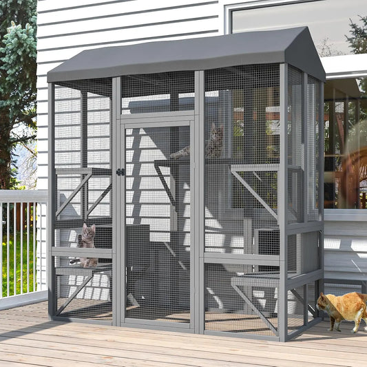 Walk In Outdoor Cat Enclosure For Multiple Indoor Outdoor Cats