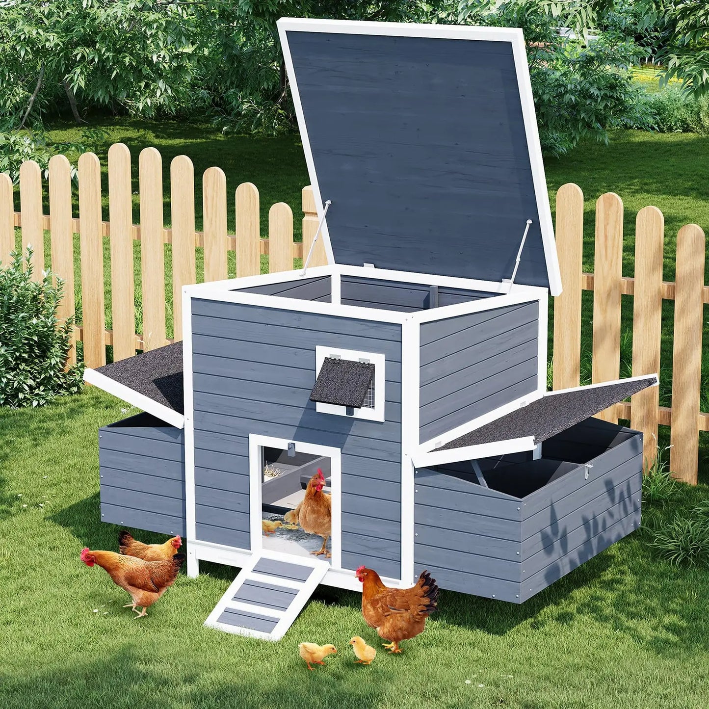 DishyKooker Backyard Chicken Coop For 4-6 Hens With Nesting Box