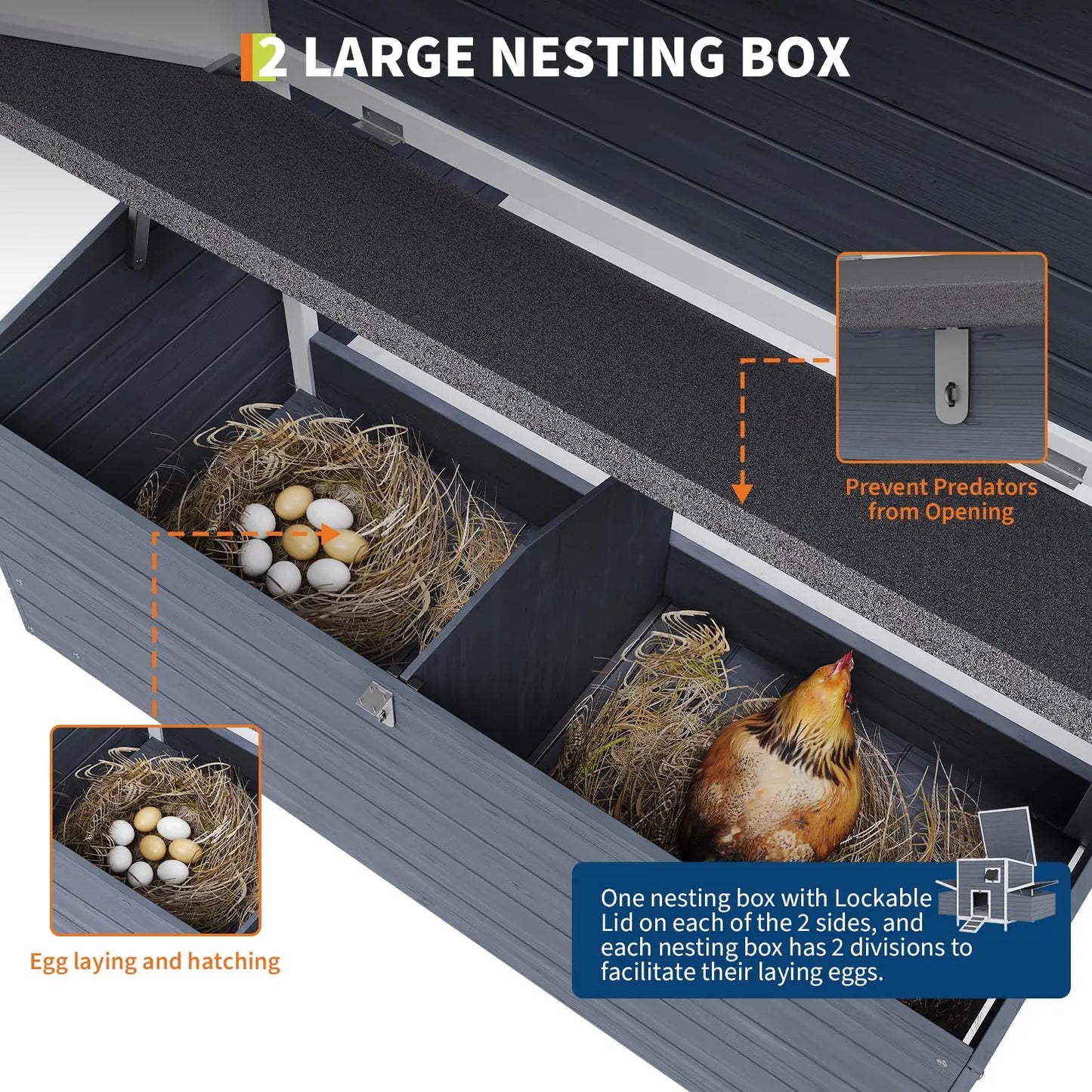 DishyKooker Backyard Chicken Coop For 4-6 Hens With Nesting Box