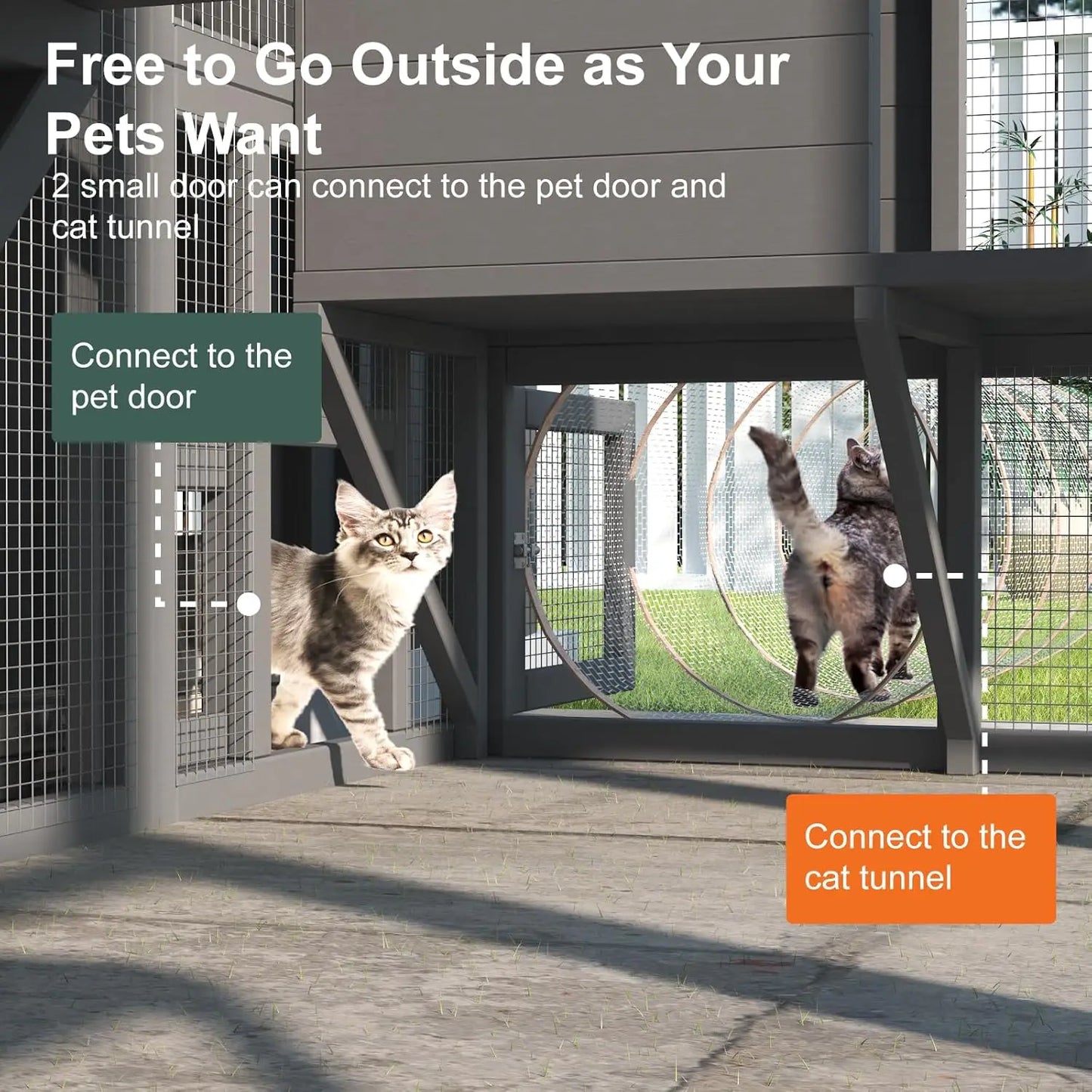 Walk In Outdoor Cat Enclosure For Multiple Indoor Outdoor Cats