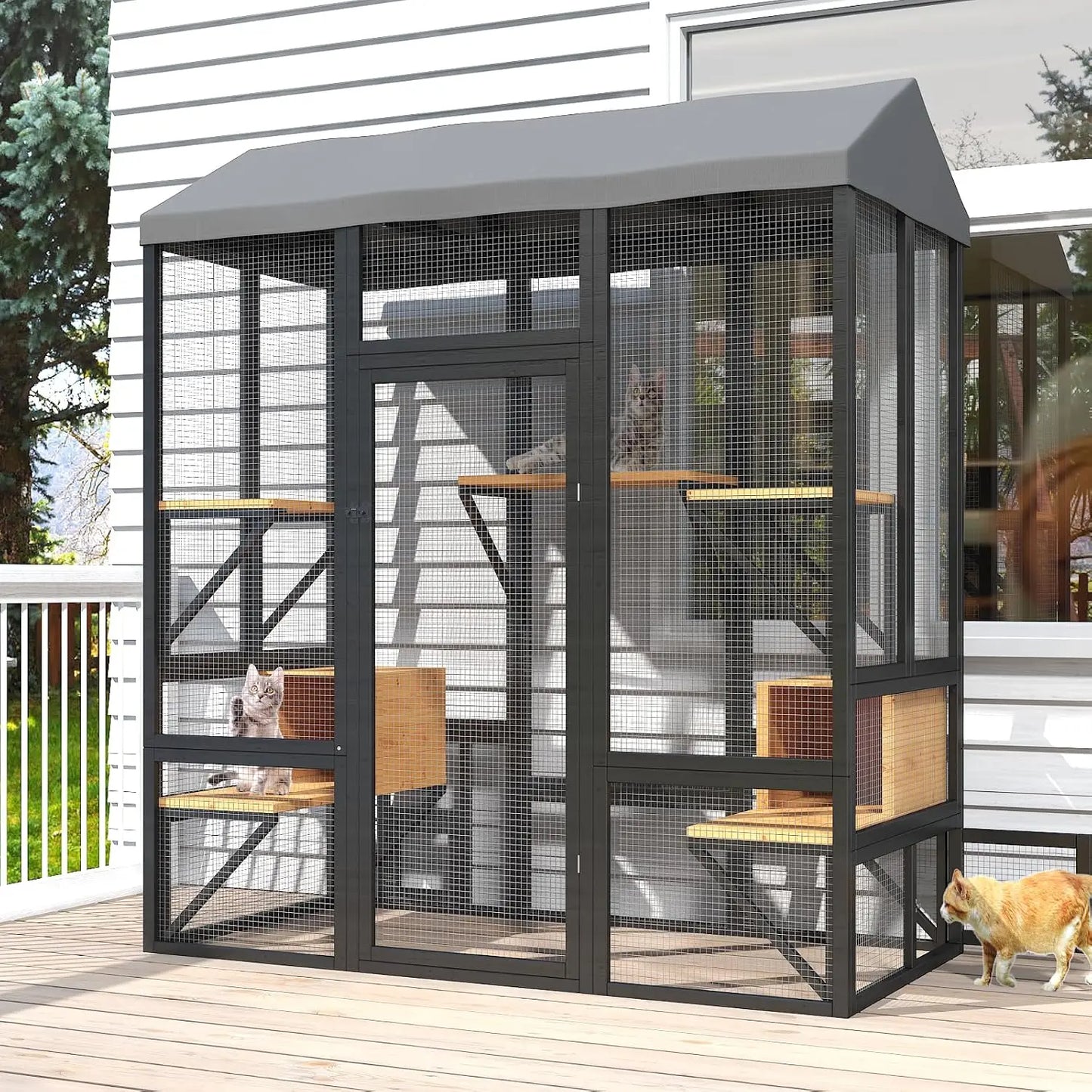 Walk In Outdoor Cat Enclosure For Multiple Indoor Outdoor Cats